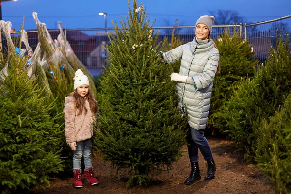 Heureux famille choisir arbre de Noël au marché — Photo