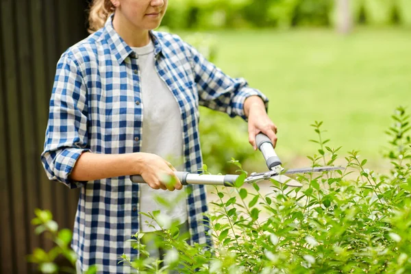 Vrouw met snoeirieten takken in de tuin — Stockfoto