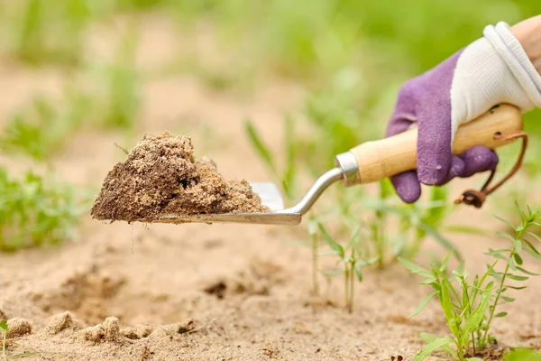 Χέρι σκάψιμο flowerbed έδαφος με μυστρί κήπο — Φωτογραφία Αρχείου