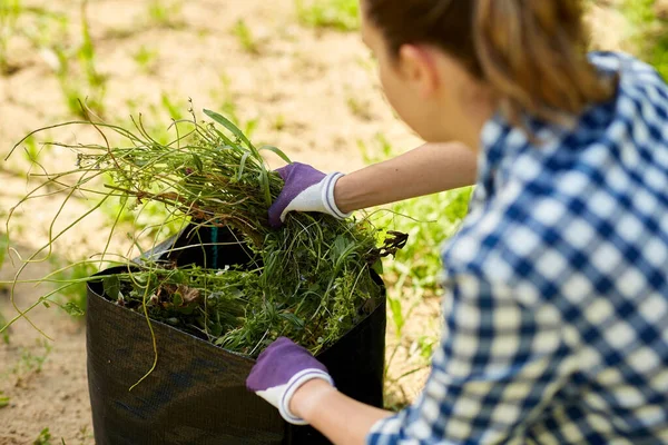 Женщина с сумкой, набитой травами, в летнем саду — стоковое фото