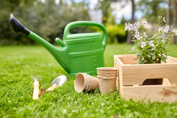 Tuingereedschap en bloemen in houten kist in de zomer — Stockfoto