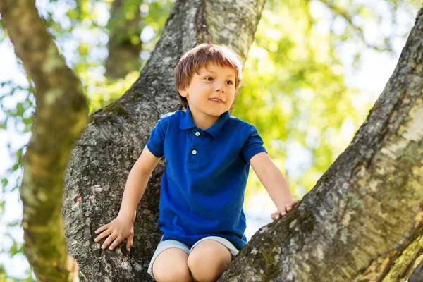 Felice bambino arrampicata albero al parco — Foto Stock