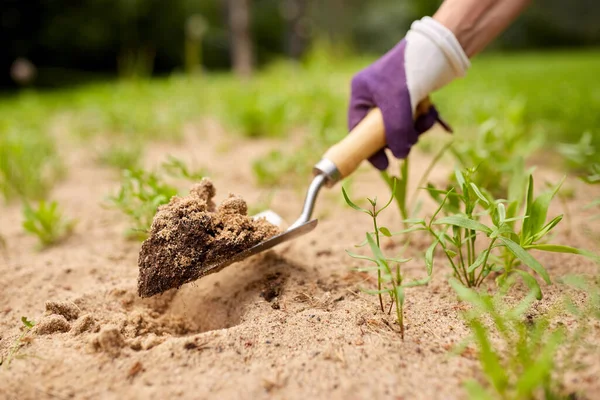 ガーデントロエルで花壇を掘る手 — ストック写真