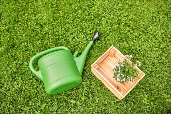 Gieter en bloemen in houten doos in de tuin — Stockfoto