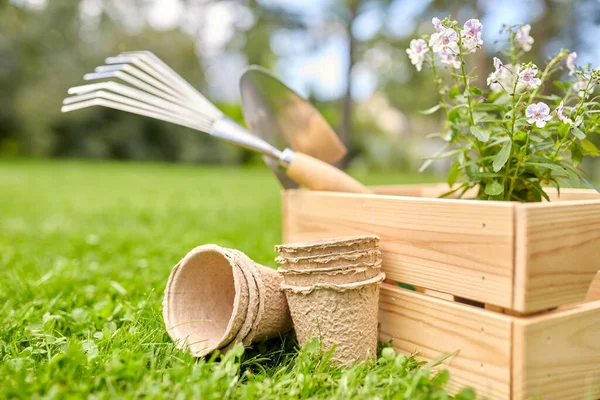 여름에 나무 상자에 담긴 정원 도구와 꽃들 — 스톡 사진