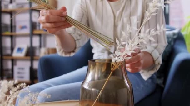 Kvinna arrangera torkade blommor i vas hemma — Stockvideo