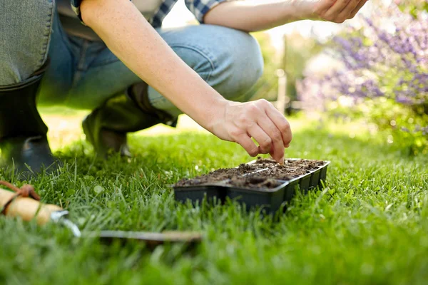 Vrouw planten bloemzaden naar potten lade met bodem — Stockfoto