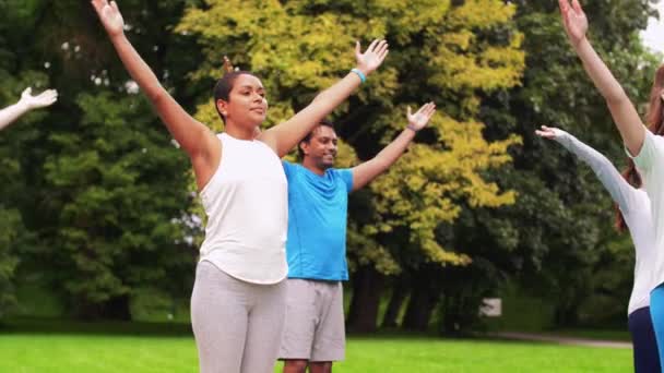 Grupo de pessoas fazendo ioga no parque de verão — Vídeo de Stock