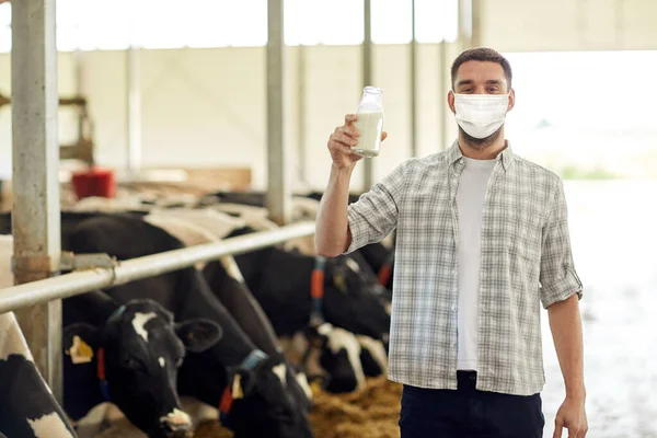 Hombre o agricultor enmascarado con leche en granja lechera —  Fotos de Stock
