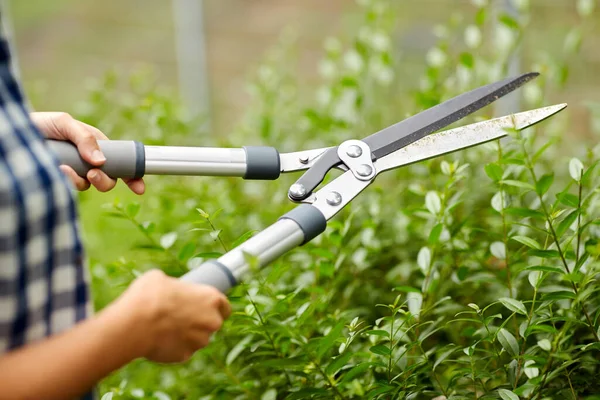 Frau mit Baumschneider schneidet Äste im Garten — Stockfoto