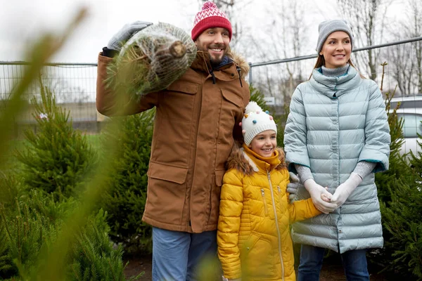 幸せな家族がクリスマスツリーを市場で買う — ストック写真