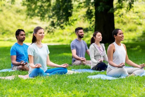 Gruppo di persone felici che fanno yoga al parco estivo — Foto Stock