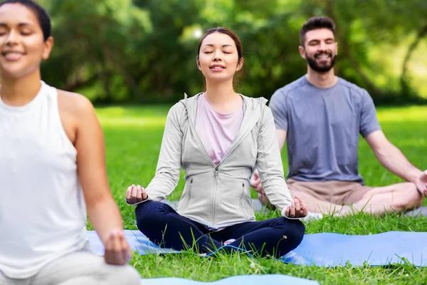 Groep gelukkige mensen die yoga doen in het zomerpark — Stockfoto