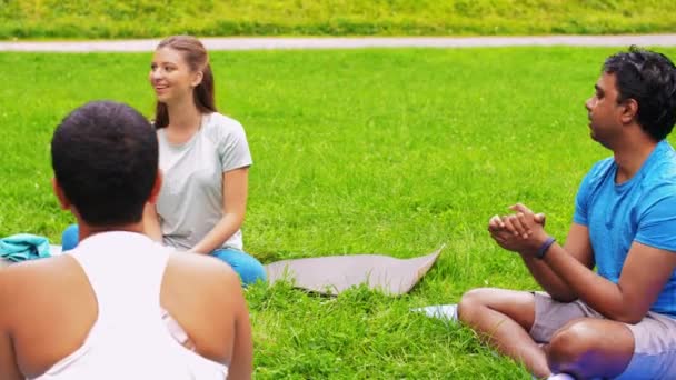 Grupo de personas reunidas para clases de yoga en el parque — Vídeo de stock