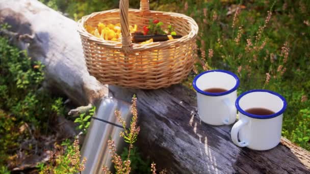 Žampiony v košíku a šálky čaje v lese — Stock video