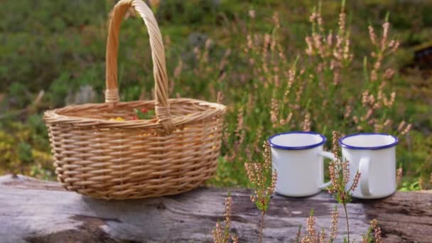 Cogumelos em cesta e xícaras de chá na floresta — Vídeo de Stock