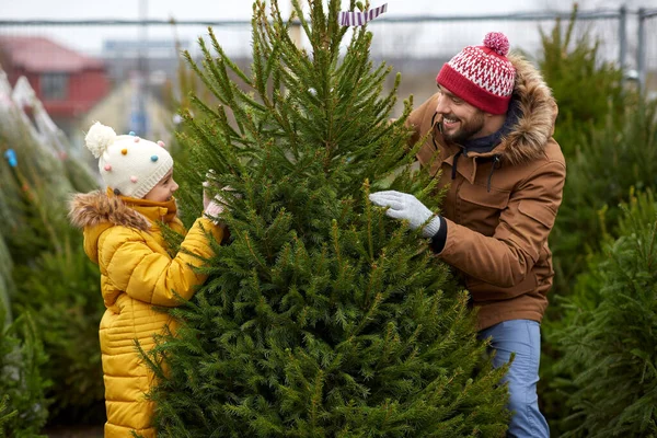 幸せな家族は市場でクリスマスツリーを選ぶ — ストック写真