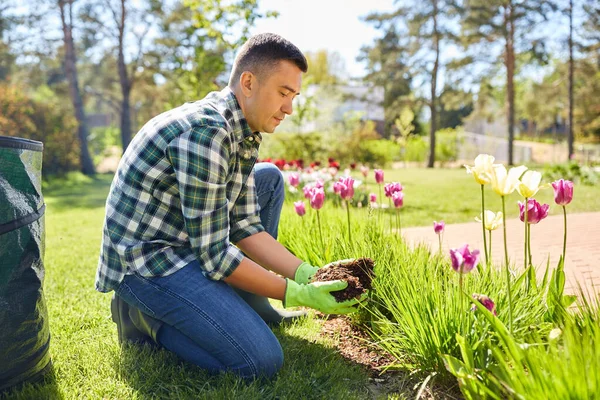 Человек заливает почву к цветам в летнем саду — стоковое фото