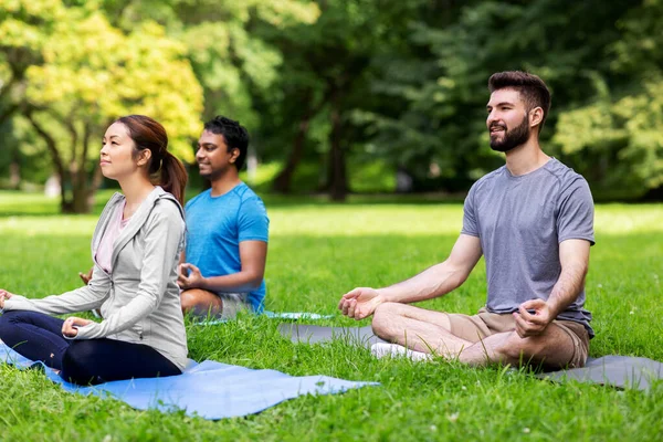 Grupp glada människor som gör yoga på sommarparken — Stockfoto