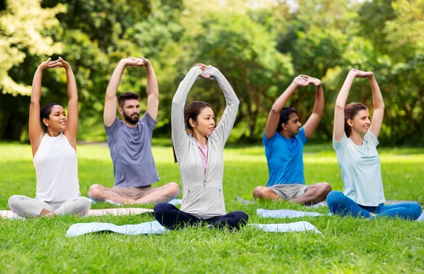 Grupa szczęśliwych ludzi uprawiających jogę w letnim parku — Zdjęcie stockowe