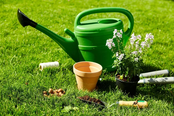 Regadera, herramientas de jardín y flores en verano — Foto de Stock