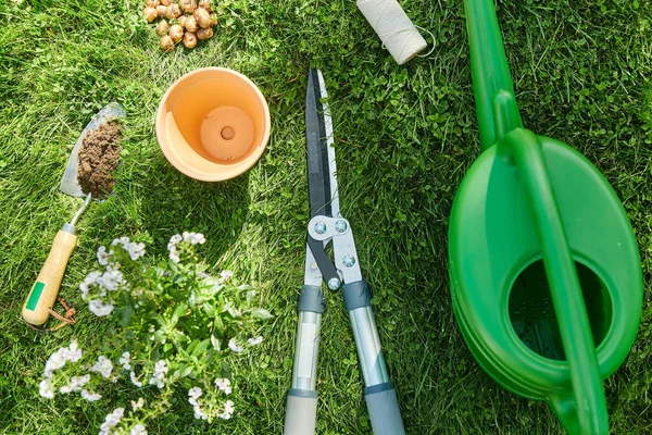 Gieter, tuingereedschap en bloem in de zomer — Stockfoto