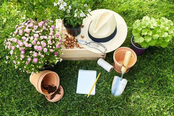 Tuingereedschap, houten kist en bloemen in de zomer — Stockfoto