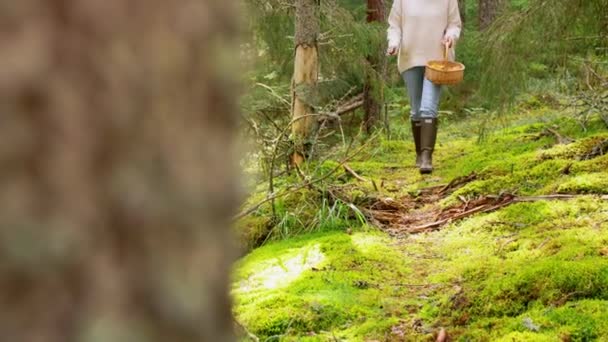 Mujer con setas en cesta caminando en el bosque — Vídeo de stock