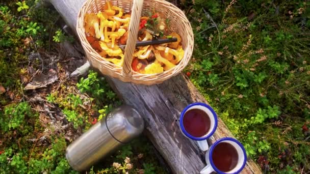 放在篮子里的蘑菇和森林里的茶 — 图库视频影像