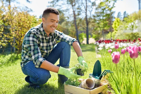 Szczęśliwy człowiek z narzędziami w pudełku i kwiatami w ogrodzie — Zdjęcie stockowe