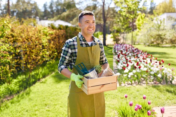 Glücklicher Mann mit Werkzeug im Karton im Sommergarten — Stockfoto