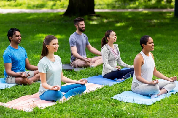 Groupe de personnes heureuses faisant du yoga au parc d'été — Photo