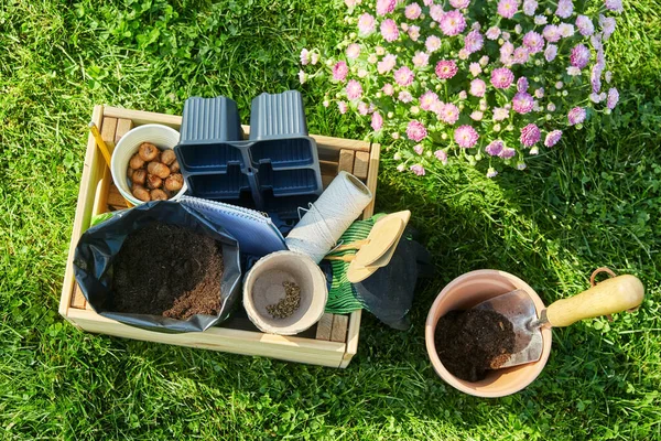 Alat-alat kebun di kotak kayu dan bunga di musim panas — Stok Foto