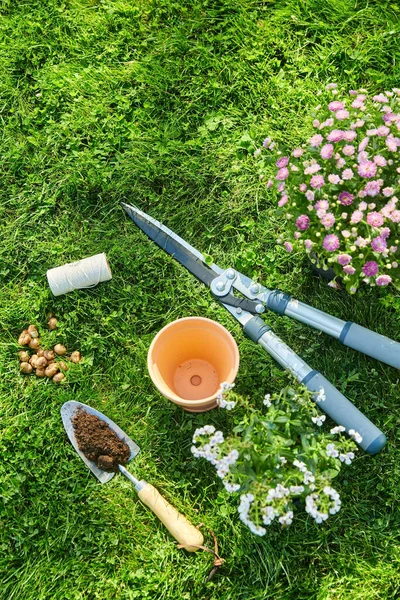 Tuingereedschap, bloempot en bollen op gras — Stockfoto