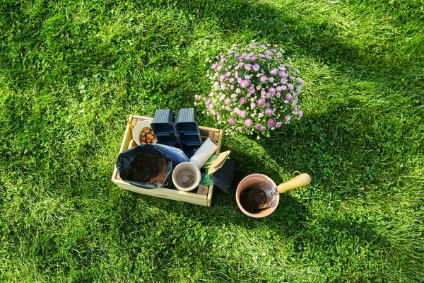 Tuingereedschap in houten kist en bloemen in de zomer — Stockfoto