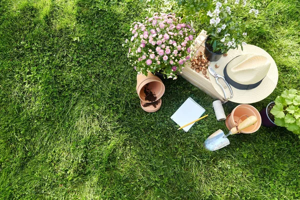 Tuingereedschap, houten kist en bloemen in de zomer — Stockfoto