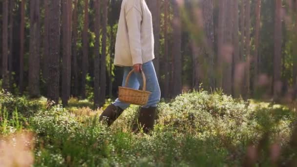 Mulher com cogumelos na cesta andando na floresta — Vídeo de Stock