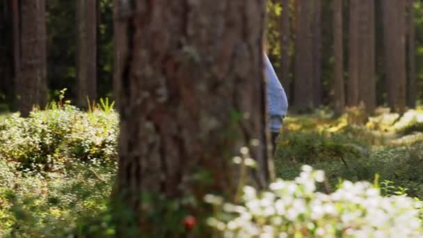 Kvinna med svamp i korg promenader i skogen — Stockvideo