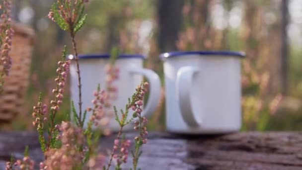 Dva šálky čaje na kládě v lese — Stock video