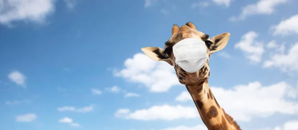 Girafe dans masque médical au-dessus du ciel — Photo