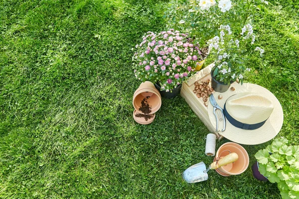 Attrezzi da giardino, scatola di legno e fiori in estate — Foto Stock