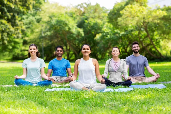 Bir grup mutlu insan yaz parkında yoga yapıyor. — Stok fotoğraf