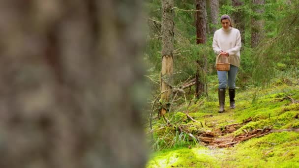 Kvinna med svamp i korg promenader i skogen — Stockvideo