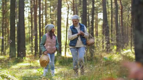 Nonna e nipote raccolta funghi — Video Stock