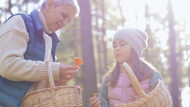 Nonna e nipote raccolta funghi — Video Stock