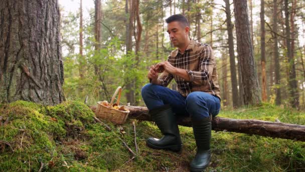 Uomo con cesto raccolta funghi nel bosco — Video Stock