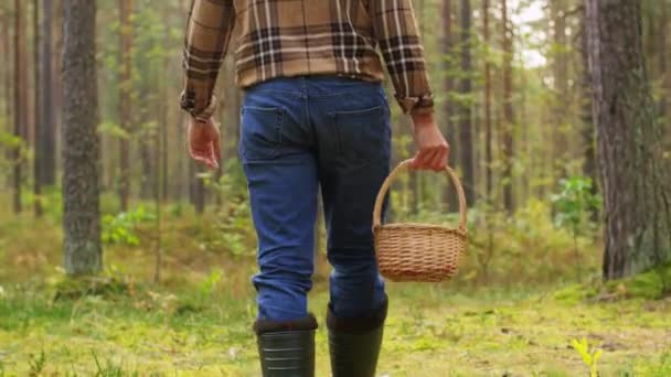 Uomo con cesto raccolta funghi nel bosco — Video Stock