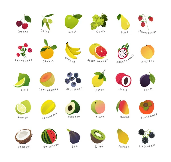 Κλιπ Τέχνης Μινιατούρες Φρούτα Και Μούρα — Διανυσματικό Αρχείο
