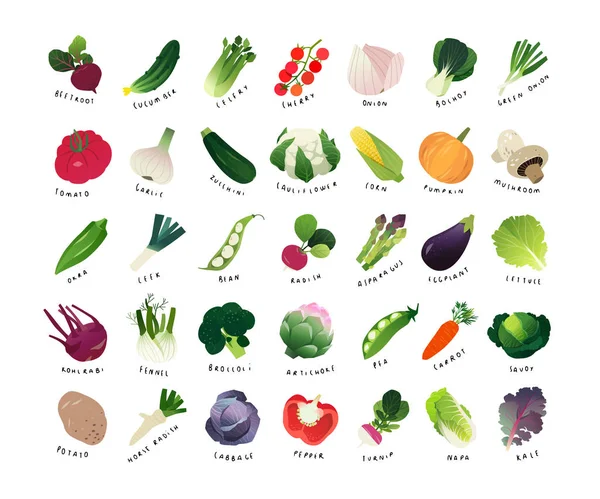 Lista Vegetais Comuns Miniaturas Clip Art Vegetais Comuns — Vetor de Stock