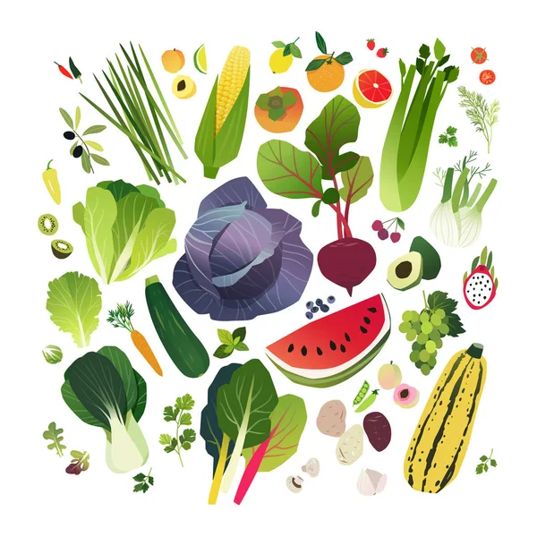 一般的な葉物野菜や果実の大きなクリップ アート コレクション — ストックベクタ